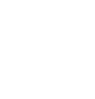 Логотип Prime Security Lab